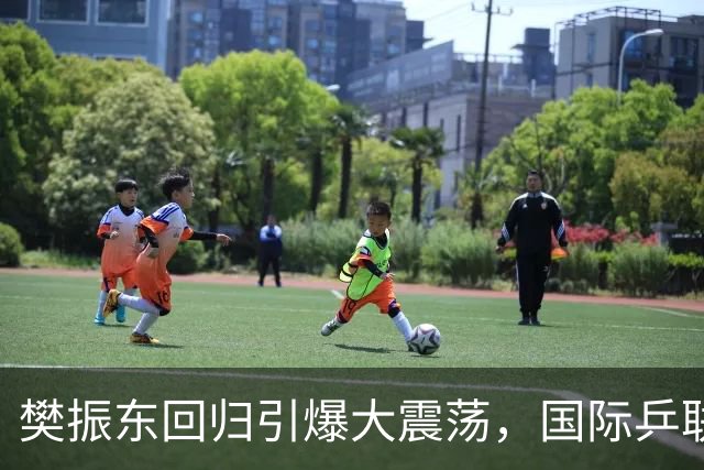 樊振东回归引爆大震荡，国际乒联正式回应举报信